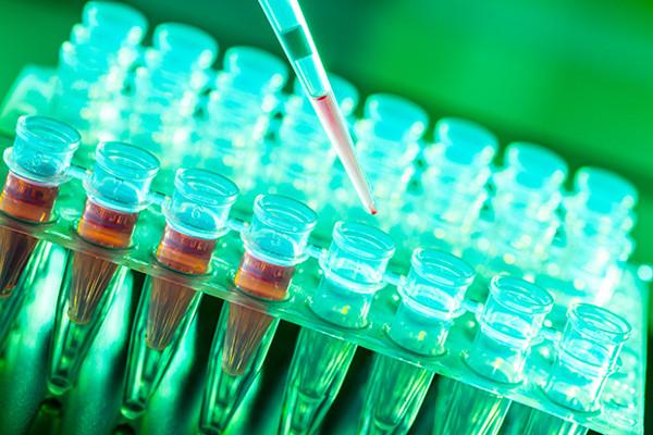 Untangling the Pharma Patent Puzzle - New article by partner Renata Campello